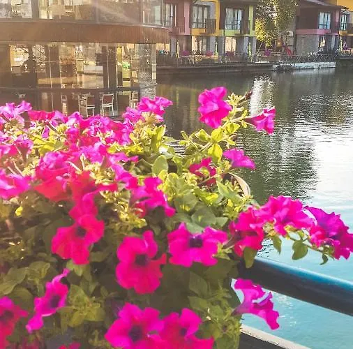 Semesteranläggning (resort) Waterside Ognyanovo (Blagoevgrad)